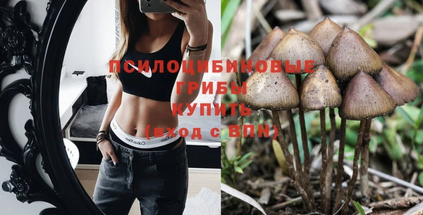 кокс Баксан