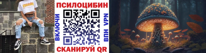 Галлюциногенные грибы Cubensis  Калуга 