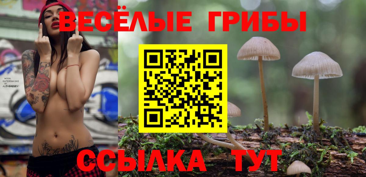 Галлюциногенные грибы прущие грибы Калуга
