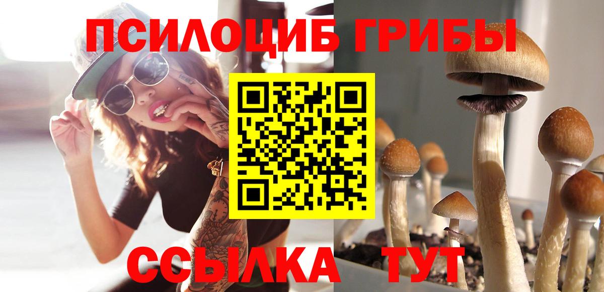 Калуга  Галлюциногенные грибы мицелий  Вход с VPN 