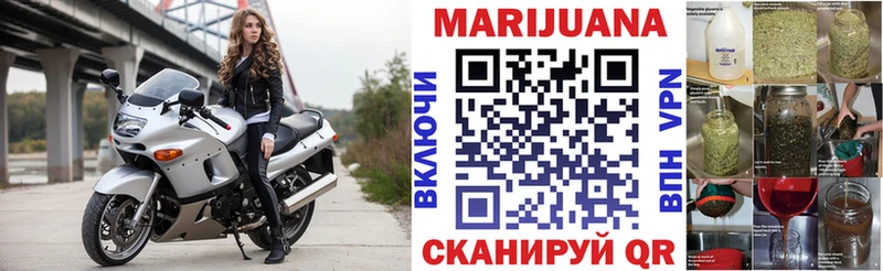 Канабис Bruce Banner  Калуга 
